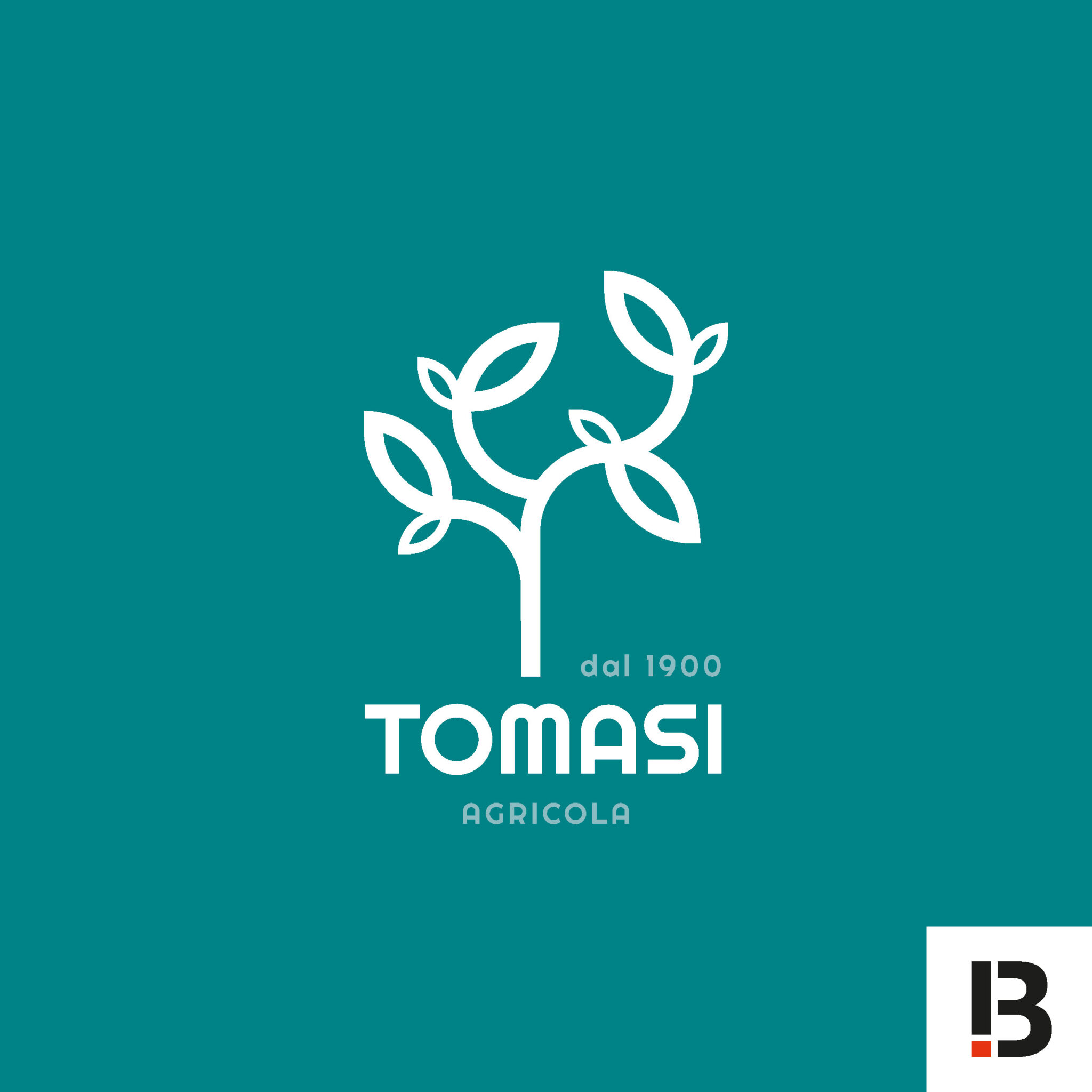 BASCIONI-portfolio-tomasi-